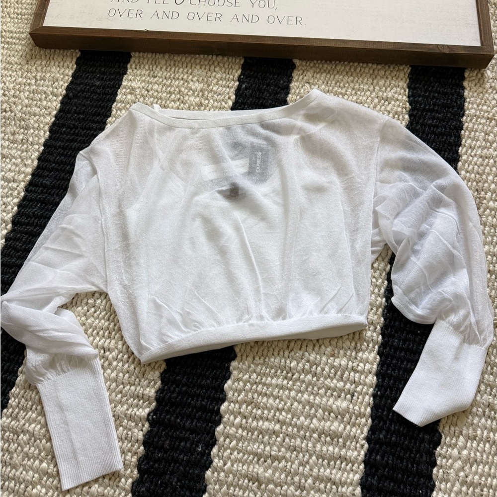 Express White Sheer Crop Top